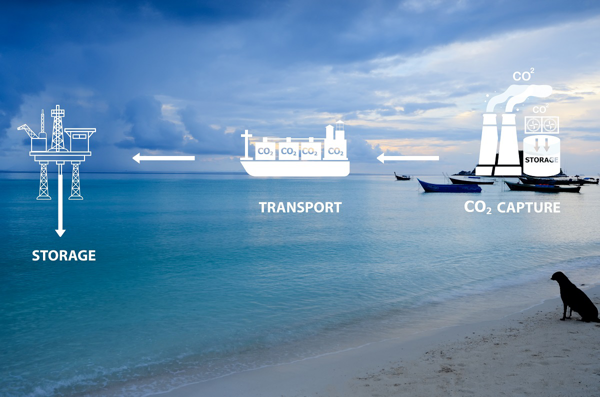 CO2 Transport and Storage Cost Review