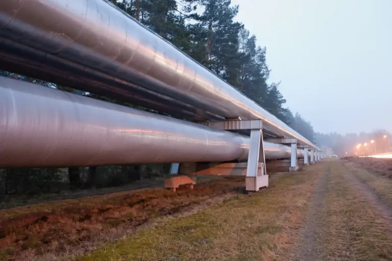 International Carbon Dioxide Flows - Pipeline through a Forest